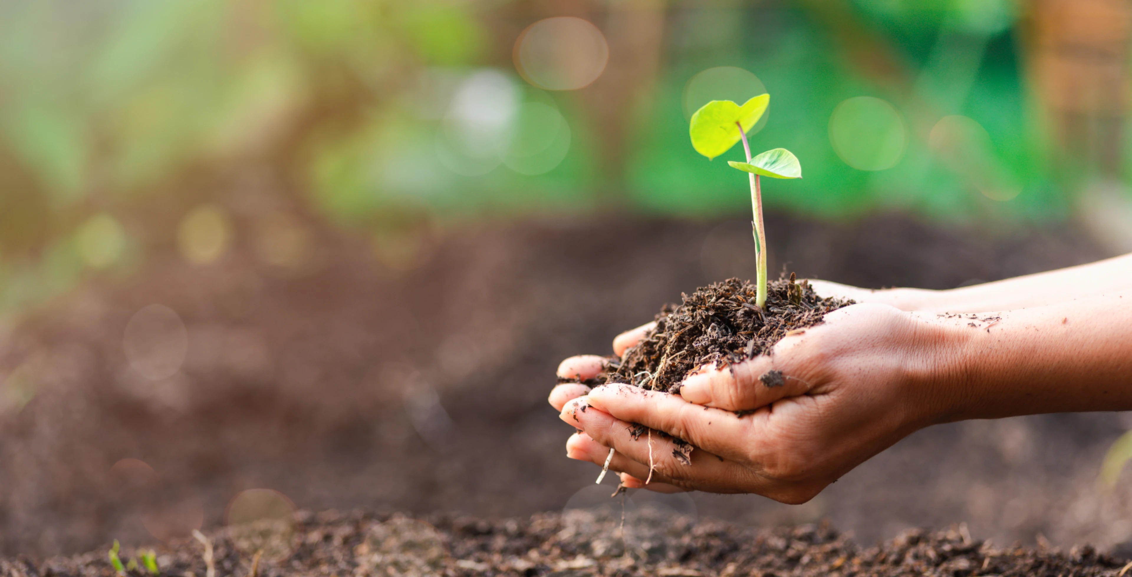 Heron Neutron Medical Corp.